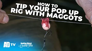 How To Tip Your Pop Up Rig With Maggots - Carp Fishing Quickbite