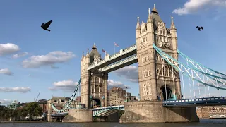 Huge Cruise Ship passes through Tower Bridge, London 2022 Latest Video