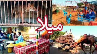 Hazrat Mohsin Shah Ka Mela At Village Mahmood Dero Larkana Sindh Pakistan|| Sanam Food