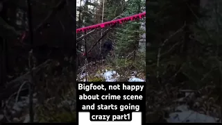 Bigfoot, not happy about crime scene in the woods part 1