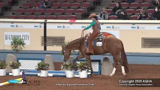 2020 AQHA Amateur Trail