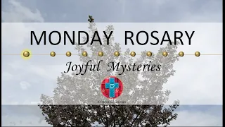 Monday Rosary • Joyful Mysteries of the Rosary 💙 April 15, 2024 VIRTUAL ROSARY - MEDITATION