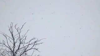 ４月の雪。北海道上川郡東川町。2019/04/05