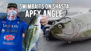 Apex Angle: Swimbaits on Shasta with Jeff Michels