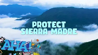 Sierra Madre, ang protektor ng Luzon | AHA!