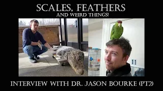 DINOSAUR EPIDERMAL STRUCTURES DISCUSSION! - Interview with Dr Jason Bourke (pt2)