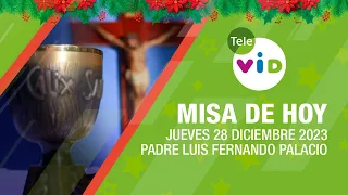 Misa de hoy 🎄⛪ Jueves 28 Diciembre de 2023, Padre Luis Fernando Palacio #TeleVID #MisaDeHoy #Misa