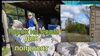 Де брав горох на корм для свиней