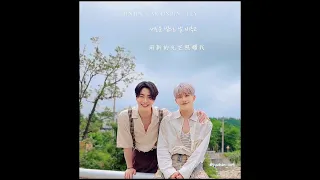 240419 JINJIN-Fly (Duet with. 문빈(ASTRO)) 韓翻繁中