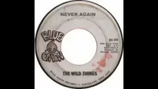 The Wild Things - Never Again
