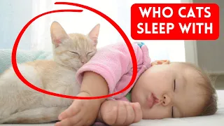 Why Does Your Cat Sleep With You? - How Cats Choose Who To Sleep With