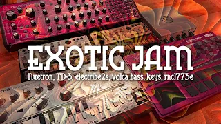 Exotic Jam / Neutron, TD-3, electribe 2 sampler, volca bass, keys, RNC1773E