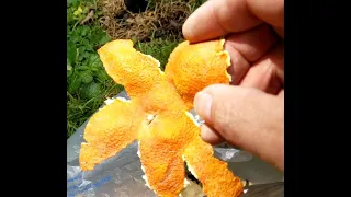 Do Dried Orange Peels Burn
