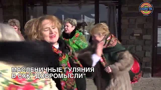 Масленица в конном клубе "Добромысли"