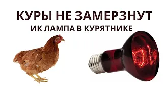 Инфракрасная лампа как дополнительное тепло в курятнике и утятнике