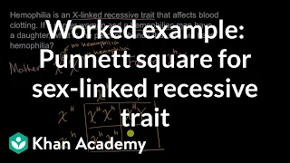 Example punnet square for sex-linked recessive trait | High school biology | Khan Academy