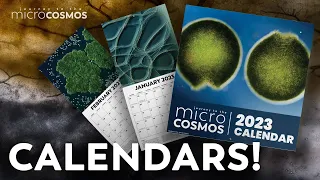 You Can Have Your Very Own Microcosmos Calendar!