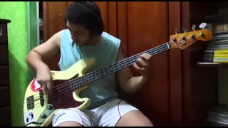 I Feel Love - Red Hot Chili Peppers (Bass Cover)