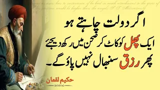 Dolat chahte ho ak phal ko kat kar sehan m rakhden | Hakeem Luqman Quotes | islam quote of the day