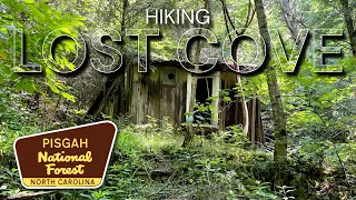 Hiking to a Real Mountain Ghost Town! Lost Cove in Pisgah National Forest, North Carolina