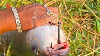 Fish Catching Video | Rohu Fishing | Hyderabad Fishing | Incredible Fishing