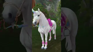 You Look bOnITa || Star Stable Online