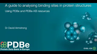 A guide to analysing binding sites in protein structures
