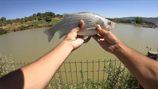 דיג בסים בזרזור& עם חבר יקר | fishing bass