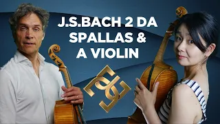 J.S.Bach Christmas Oratorio - Violoncello da Spalla