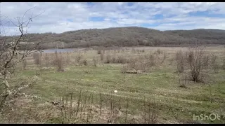 Купили участок под питомник секвой.