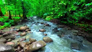 Relaxing River sound with distant thunder, Sungai Congkak