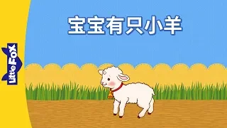 A child had a little lamb (宝宝有只小羊) | Nursery Rhymes | Chinese song | By Little Fox