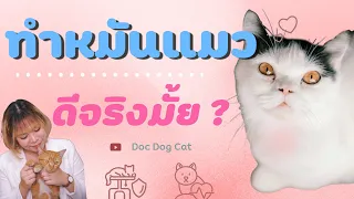 ทำหมันแมว ดีจริงมั้ย ?