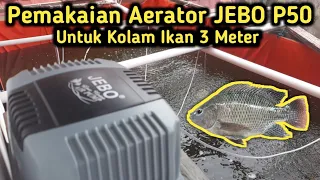 Review Pemakaian Aerator JEBO P50 Di Kolam Bioflok 3 Meter, Buka Bukaan Jujur.
