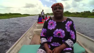 Guyane, sur la route de la côte