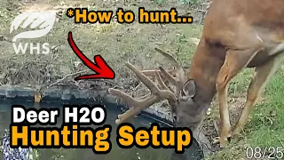 How To Create The Perfect Deer Hunting Waterhole