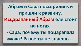 ✡️ Исцарапанный Абрам! Еврейские Анекдоты! Анекдоты про Евреев! Выпуск #158