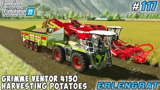 Harvesting potatoes with GRIMME VENTOR 4150 | Erlengrat Farm | Farming simulator 22 | Timelapse #117