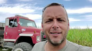 Chopping Silage with some really nice IH equipment.  (Episode 8)