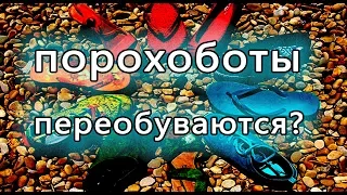 Порохоботы переобуваются? Блогеры в политике, после выборов Президента.  Чем заняться порохоботу?