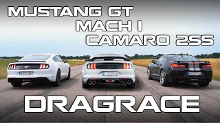 MUSTANG GT vs CAMARO vs MACH 1 | Muscle Car Dragrace