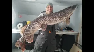 Huge Northern Pike Caught On Tip Ups Ice Fishing - 46" & 42"