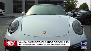 Vandals cause thousands of dollars in damage at luxury car dealership