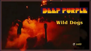 DEEP PURPLE - Wild Dogs (Live)