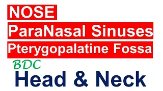 Chp15 | Anatomy of Nose, Paranasal Sinuses and Pterygopalatine Fossa | BDC Vol3 | Dr Asif Lectures