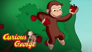 Harvest Season 🐵 Curious George 🐵Kids Cartoon 🐵 Kids Movies 🐵Videos for Kids