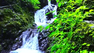 Relaxing water sounds for sleeping, Relax the Sound of Nature River Water - Relaxing Sound