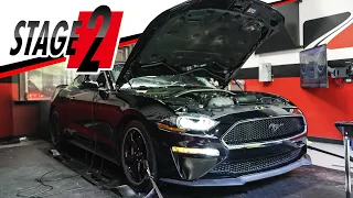 Mustang Bullitt Gets Stage-2 NA Package: DYNO TESTED!
