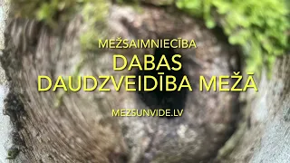 Dabas daudzveidības veicināšana kopšanas cirtēs