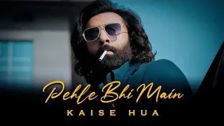 Pehle Bhi Main x Kaise Hua (ACV Mashup) | ANIMAL MASHUP | Ranbir Kapoor | Best Hindi Mashup 2023